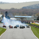 Illustration for article titled 73rd Goodwood Members Meeting – View from the bank + Photodump